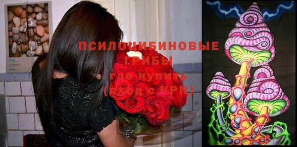 кокс Алексин