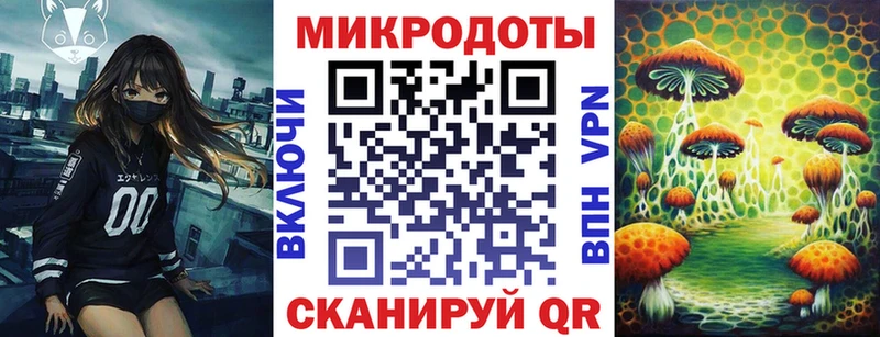 Псилоцибиновые грибы Cubensis  Кореновск 